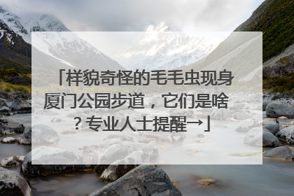 样貌奇怪的毛毛虫现身厦门公园步道，它们是啥？专业人士提醒→